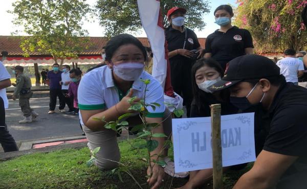 Penanaman pohon pucuk bang serangkaian Hari Lingkungan Hidup Sedunia 5 Juni 2021